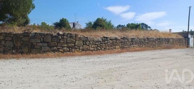 Vente Terrain CASTELO-BRANCO 5200