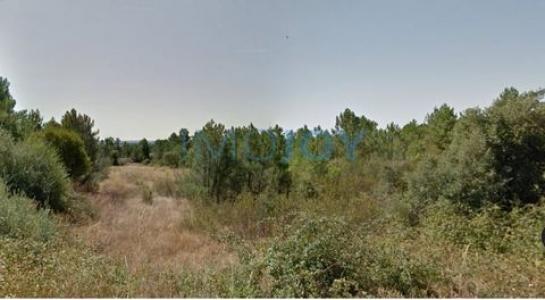 Vente Terrain CASTELO-BRANCO 6000