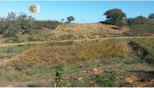 Vente Terrain CASTRO-MARIM 8950