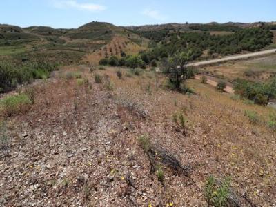 Vente Terrain CASTRO-MARIM 8950