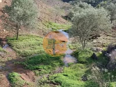 Vente Terrain CASTRO-MARIM 8950