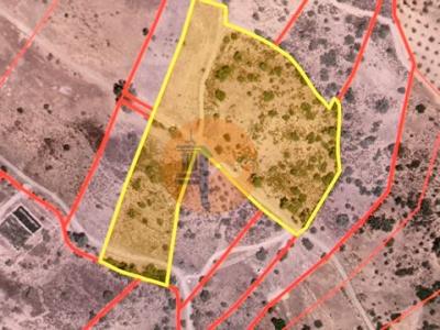 Vente Terrain CASTRO-MARIM 8950