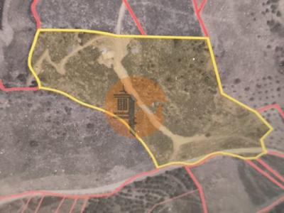 Vente Terrain CASTRO-MARIM 8950