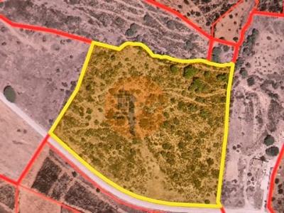 Vente Terrain CASTRO-MARIM 8950