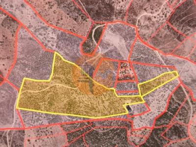 Vente Terrain CASTRO-MARIM 8950