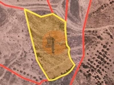 Vente Terrain CASTRO-MARIM 8950