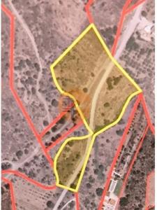 Vente Terrain CASTRO-MARIM 8950