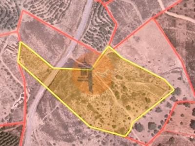 Vente Terrain CASTRO-MARIM 8950