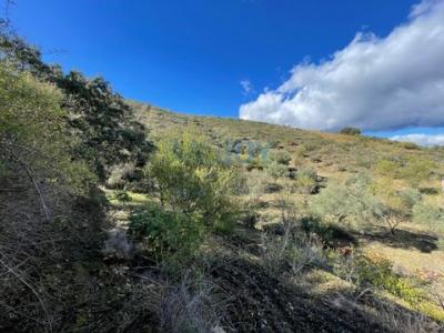 Vente Terrain CEDOVIM 5155