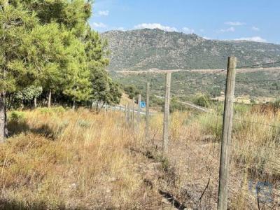 Vente Terrain CELORICO-DA-BEIRA 6360
