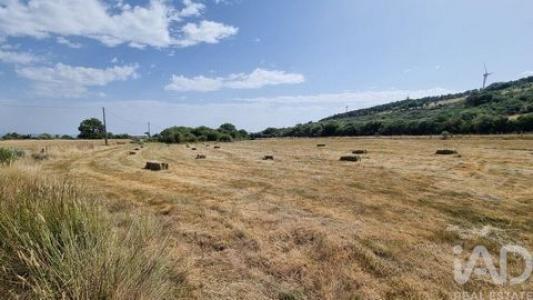 Vente Terrain CELORICO-DA-BEIRA 6360