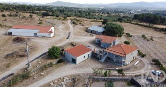 Vente Maison CELORICO-DA-BEIRA 6360