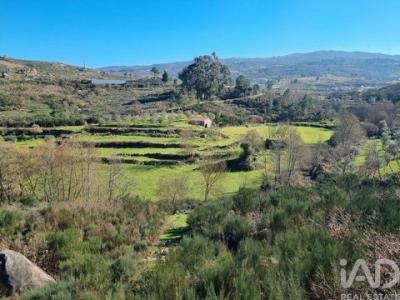 Vente Maison CELORICO-DA-BEIRA 6360