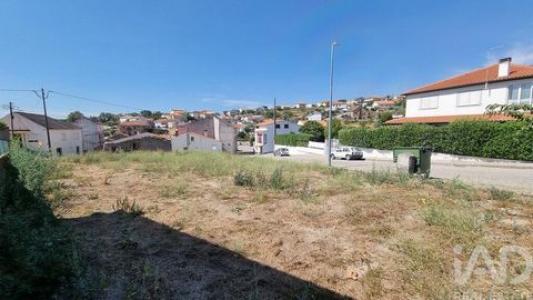 Vente Terrain CELORICO-DA-BEIRA 6360