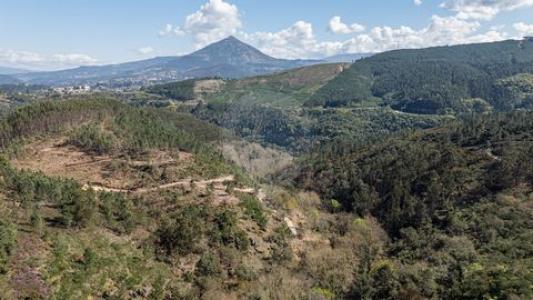 Vente Maison CELORICO-DE-BASTO 4890