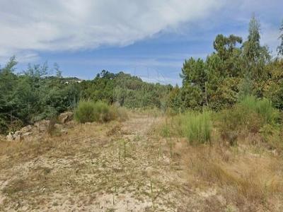 Vente Terrain CELORICO-DE-BASTO 4890