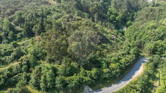 Vente Maison CELORICO-DE-BASTO 4890