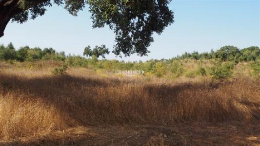 Vente Terrain CERCAL-DO-ALENTEJO 7555