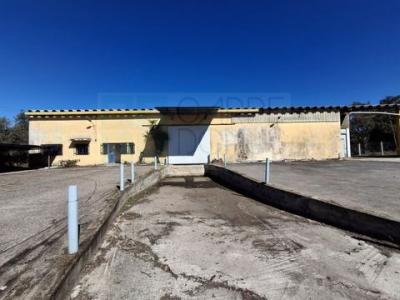 Vente Local industriel CHAMUSCA 2140