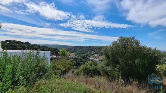 Vente Terrain CHAMUSCA 2140