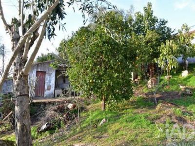 Vente Maison CHAMUSCA 2140