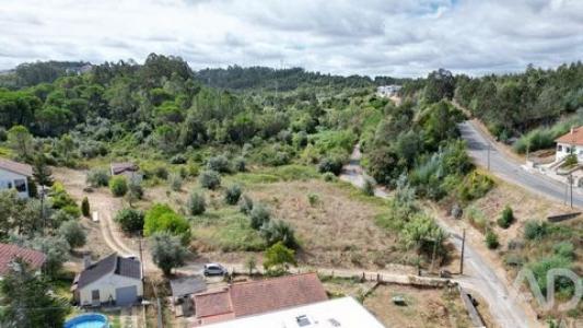 Vente Terrain COIMBRA 2525