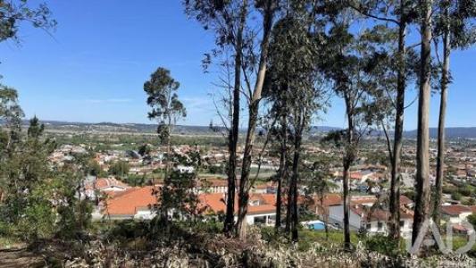 Vente Terrain COIMBRA 2525