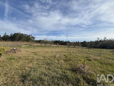 Vente Terrain COIMBRA 2525