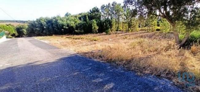 Vente Terrain CORUCHE 2100