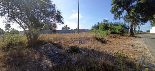 Vente Terrain CORUCHE 2100