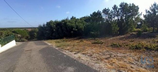 Vente Terrain CORUCHE 2100