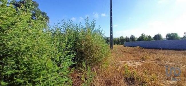 Vente Terrain CORUCHE 2100