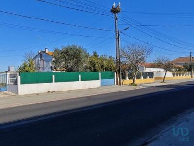 Vente Terrain CORUCHE 2100