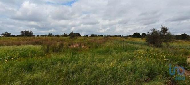 Vente Terrain CORUCHE 2100