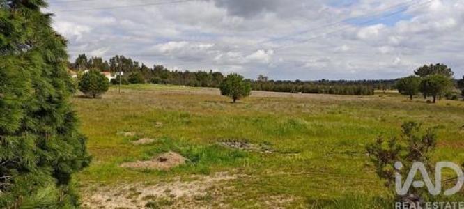 Vente Terrain CORUCHE 2100