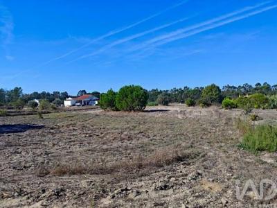 Vente Terrain CORUCHE 2100