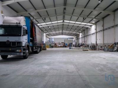 Location Local commercial COSTA-NOVA-DO-PRADO 3830