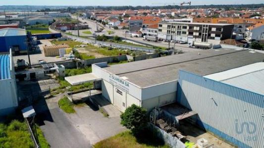 Vente Local industriel COSTA-NOVA-DO-PRADO 3830