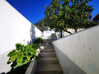 Vente Maison COVAO-DA-CARVALHA 2485