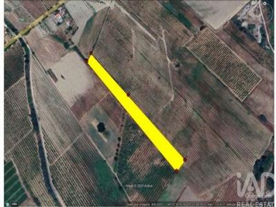 Vente Terrain COVILHA 6200