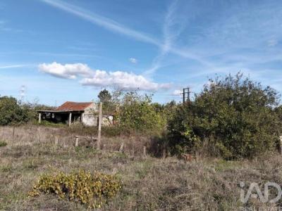 Vente Maison ENTRONCAMENTO 2330