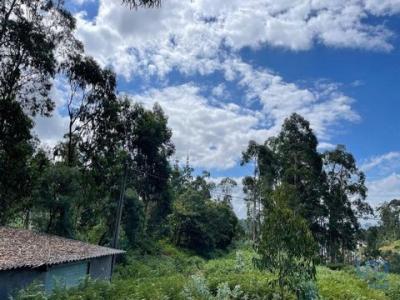 Vente Terrain ESPOSENDE 4740