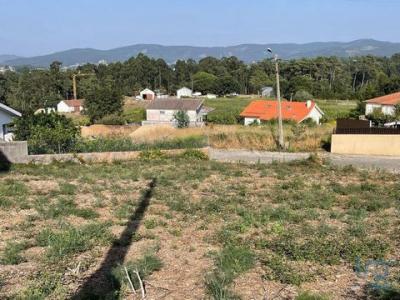 Vente Terrain ESPOSENDE 4740