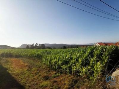 Vente Terrain ESPOSENDE 4740