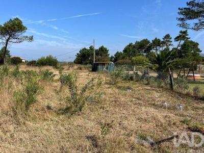 Vente Terrain ESPOSENDE 4740