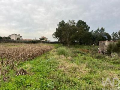 Vente Terrain ESPOSENDE 4740