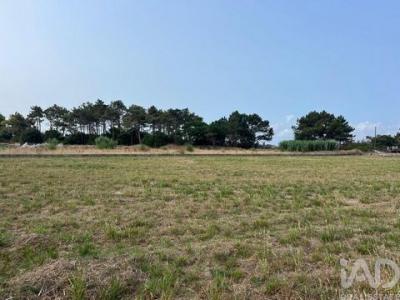 Vente Terrain ESPOSENDE 4740