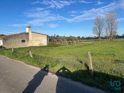 Vente Terrain ESTARREJA 3860