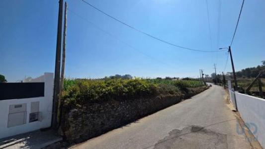 Vente Terrain ESTARREJA 3860