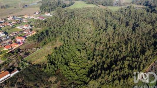 Vente Terrain ESTARREJA 3860